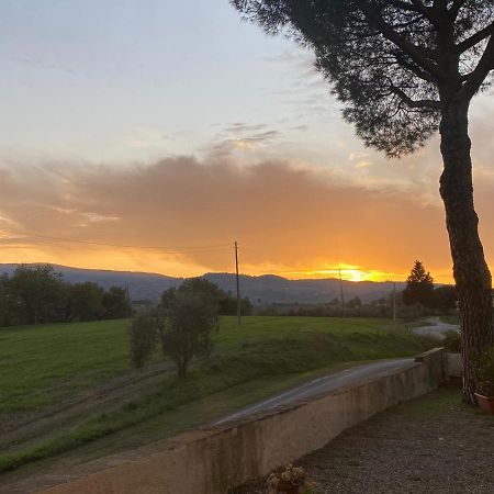 Tognazzi Casa Vacanze - La Collina Di San Gimignano Bagian luar foto